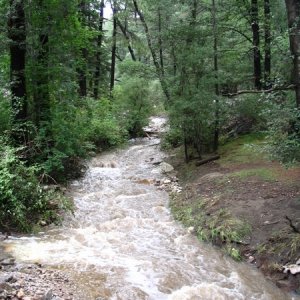 MarshallGulchMtLemmon-TucsonAZ