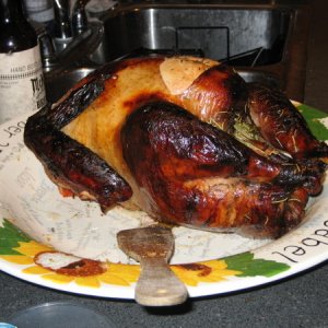 ciderbrinedturkey