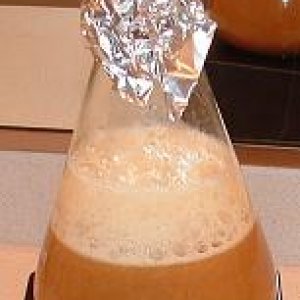 YeastStarter