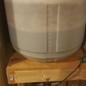 Robust porter fermentation