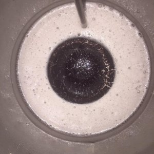 Black trub in keg