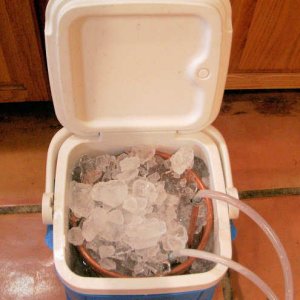 My20ftCopperPre-Chiller