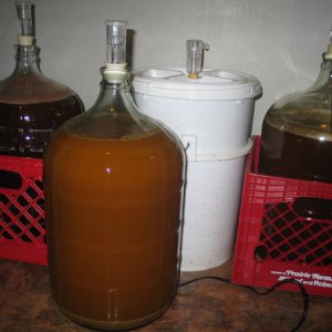 2025-beer001