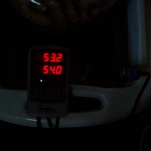 5206-temp