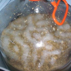 5206-lagerferment