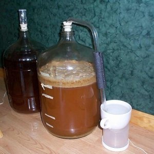 5206-Carboys