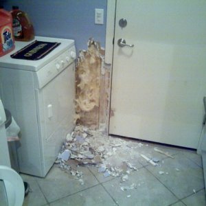 DoggieDestruction