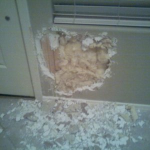DoggieDestruction