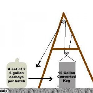 Pulleystoliftwort