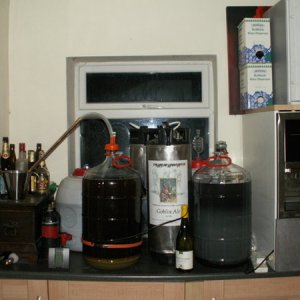 2028-FermentingSpace