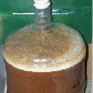 RedwoodHefeintheFermenter