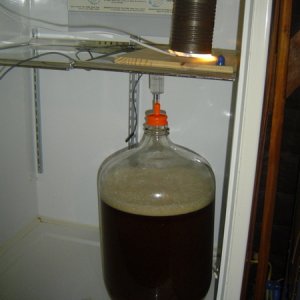 1766-FermentationFridge