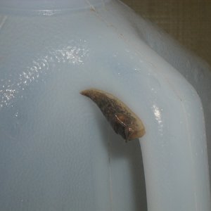 OldSlug