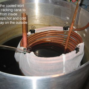 brewing17