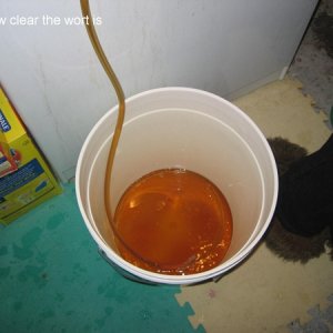 brewing18