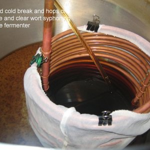 brewing20