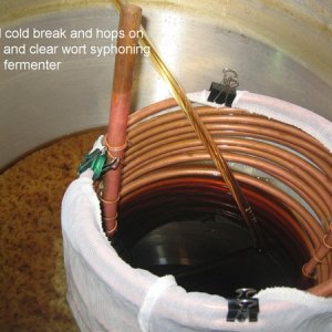 brewing21