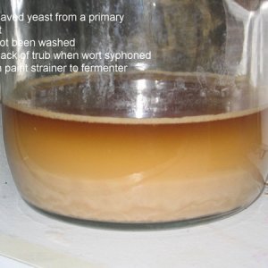 brewing22
