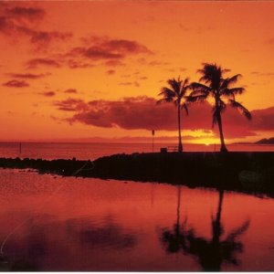 4137-scan0007