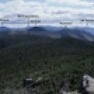 whitemountains