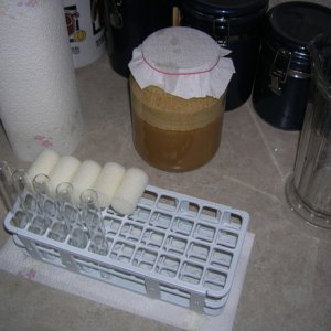 YeastCleaningandStorageStation
