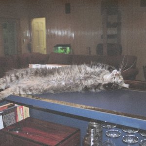 likkerdupandpassedout