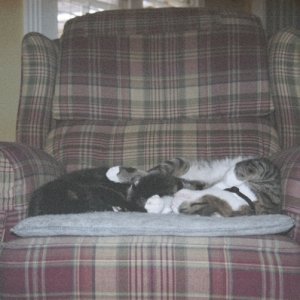 sleepingitoff
