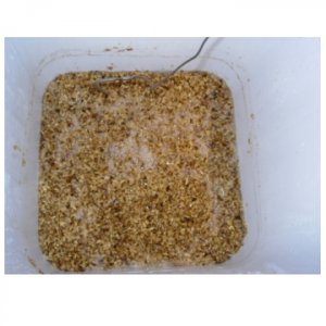 TheGrainBed