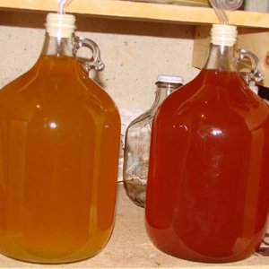 AppleWine