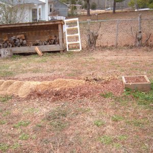 Grainpile