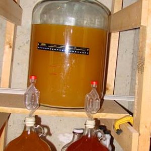 Apfelweinand2-1gallonapplewines