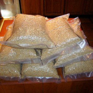 55ofPaleinFoodSaverBags