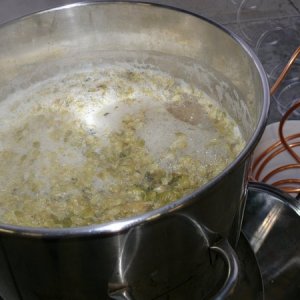 7451-FullBoil