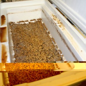 Drainedgrainbed
