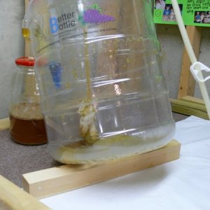 Home_Made_DryHopstopper