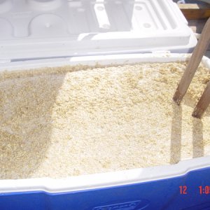 afullmashtunisabettermashtun