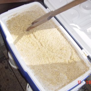 makingacaliforniapaleale