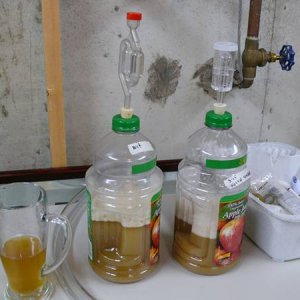 YeastStarters
