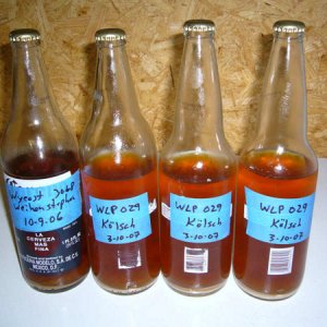 SavingYeast