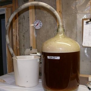 BelgianBlonde24hoursafterpitch