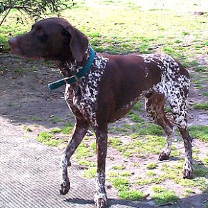 Xander2