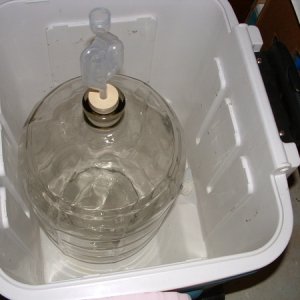 5galloncarboyincooler