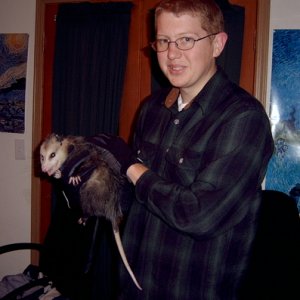 Opposum