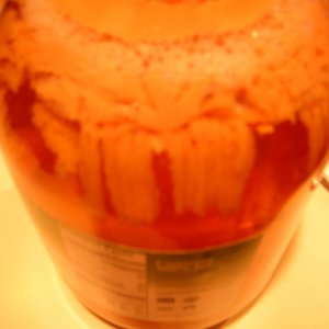Infection