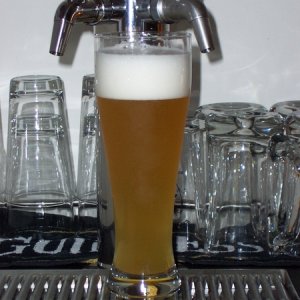 All-grainBavarianhefeweizen