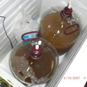 desertBrewsBrewout