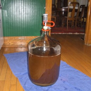 Bugsfirstbrew