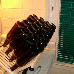 firstbrewday
