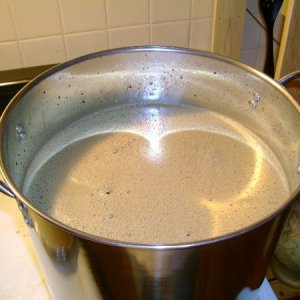 firstbrewday