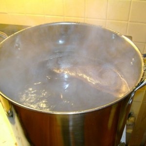 firstbrewday
